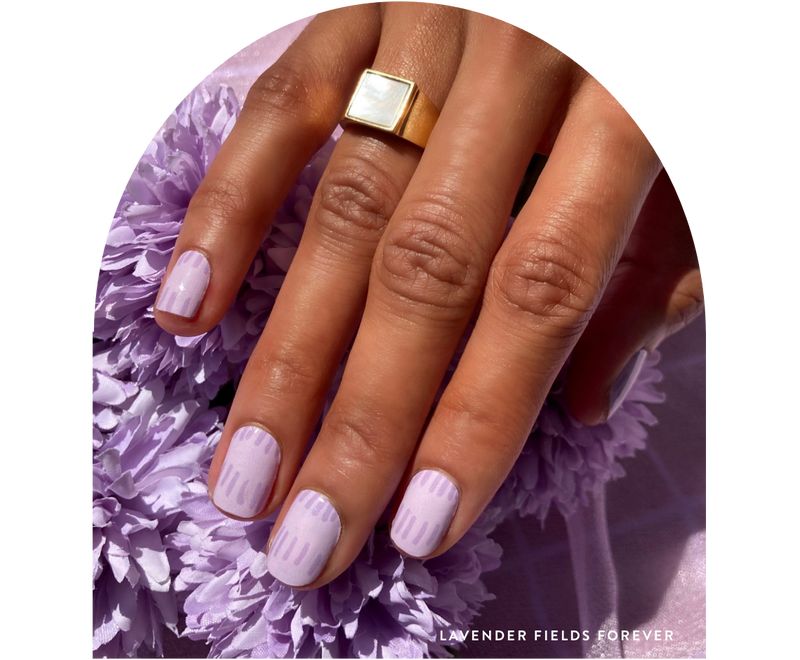 Image of Lavender Fields Forever
